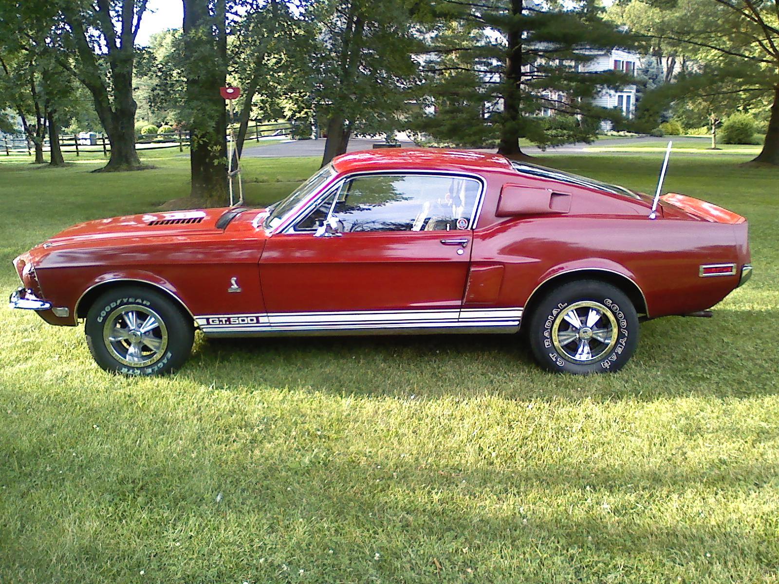 Larry’s Shelby GT500 at Glemser Brothers Automotive